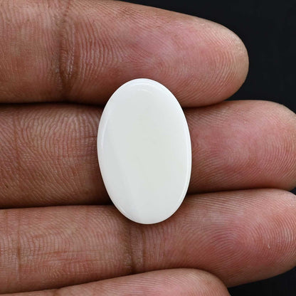 Japani White Coral 12.59 Carat
