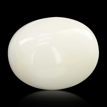 Japani White Coral 19 Carat