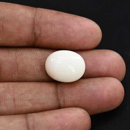 Japani White Coral 19 Carat