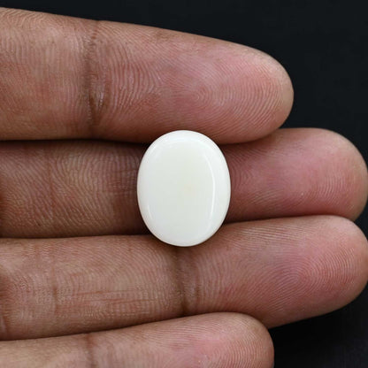 Japani White Coral 19 Carat