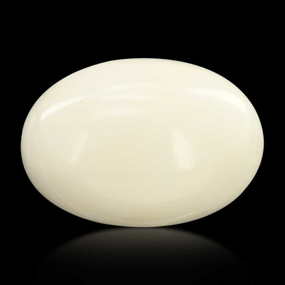 Japani White Coral 14.83 Carat