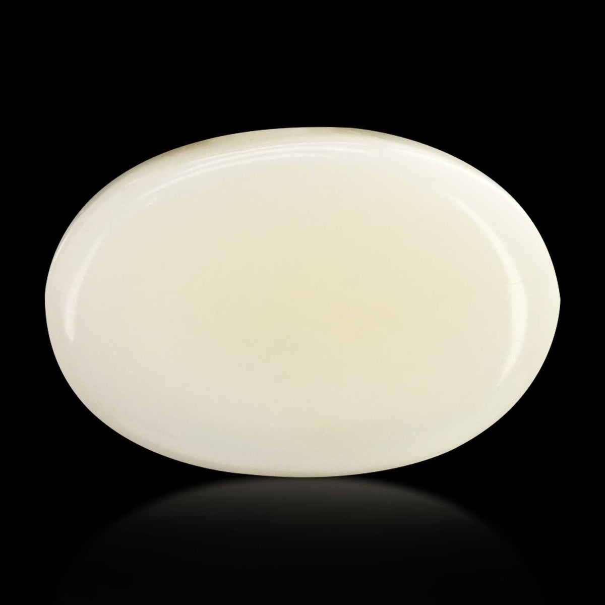 Japani White Coral 14.83 Carat