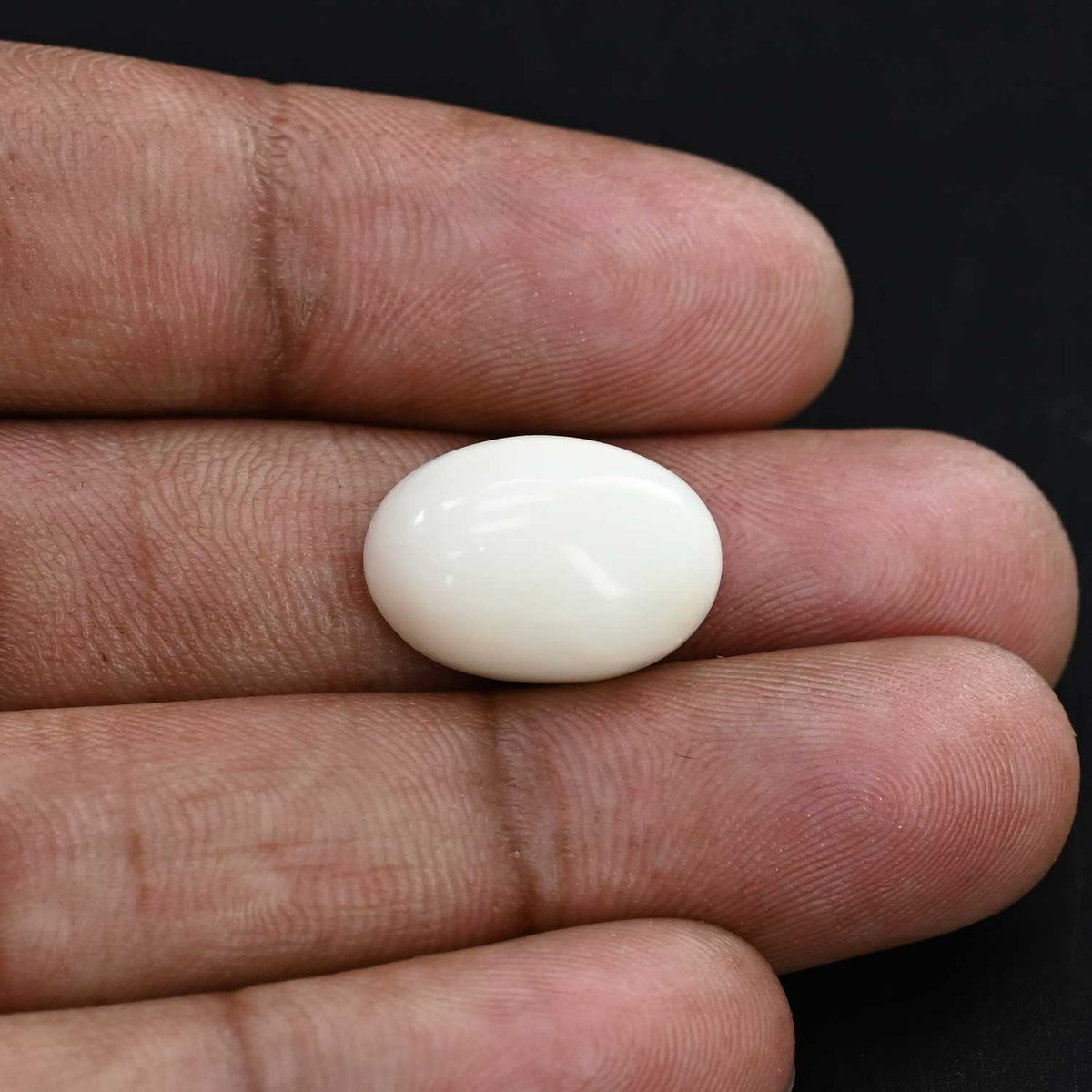 Japani White Coral 14.83 Carat