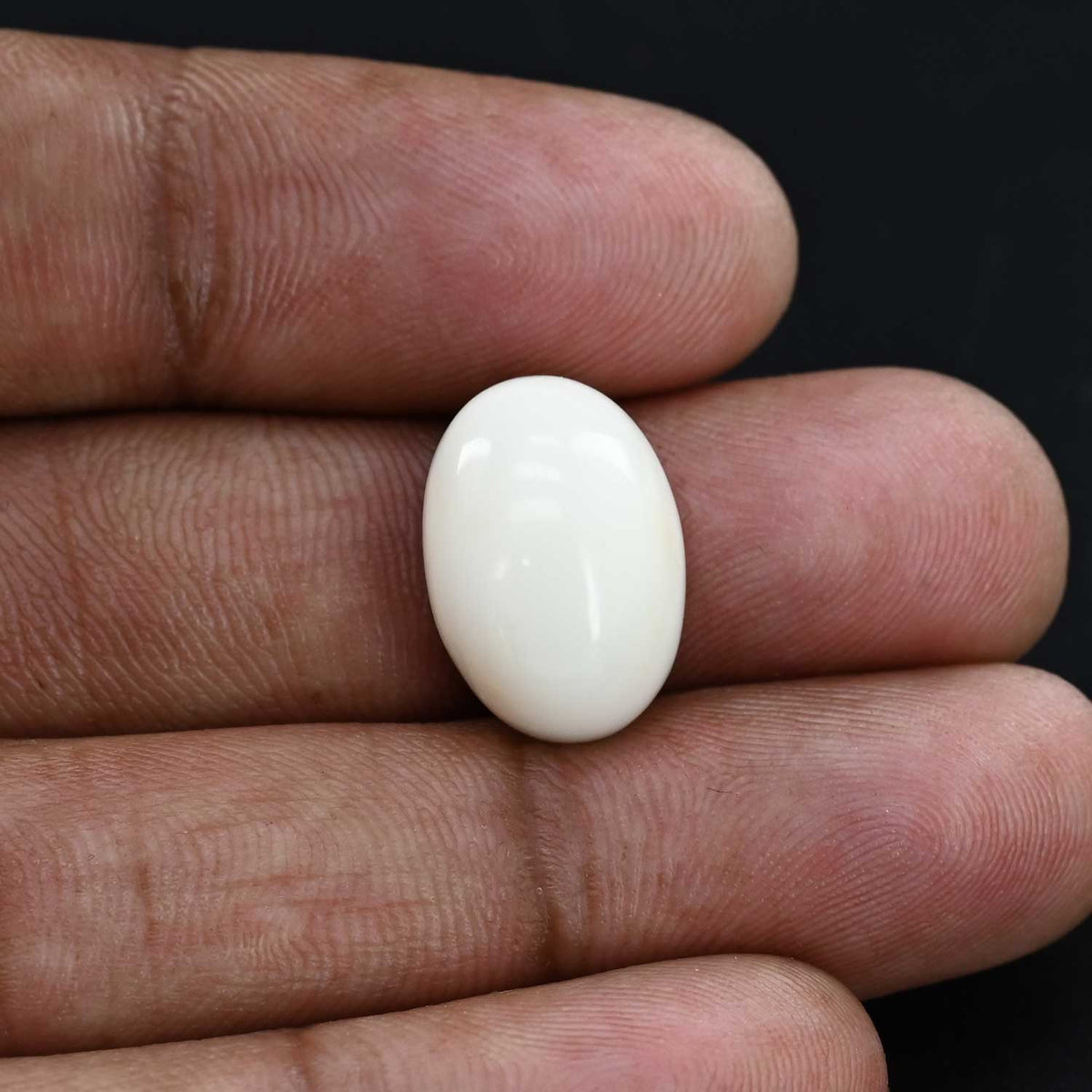 Japani White Coral 14.83 Carat