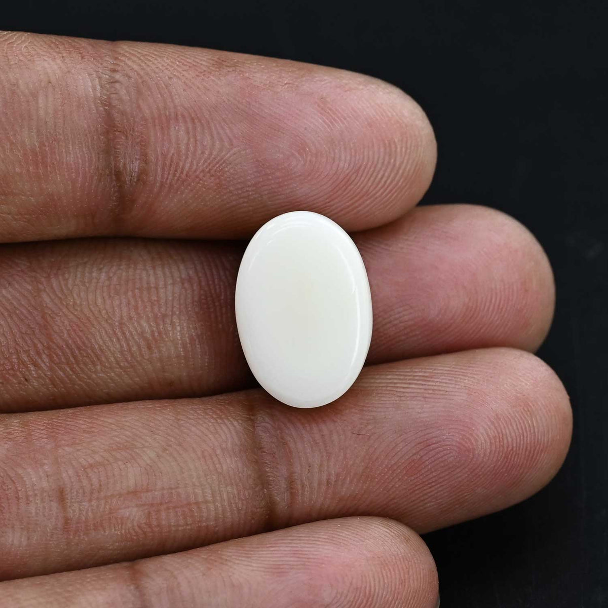 Japani White Coral 14.83 Carat