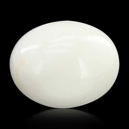 Japani White Coral 15.67 Carat