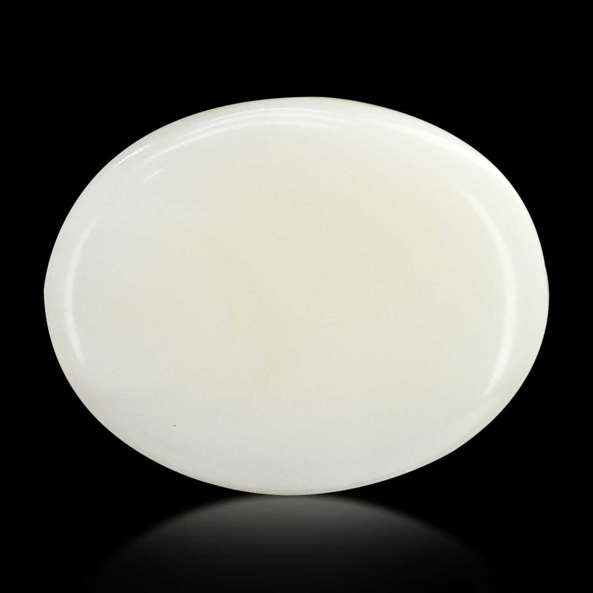 Japani White Coral 15.67 Carat