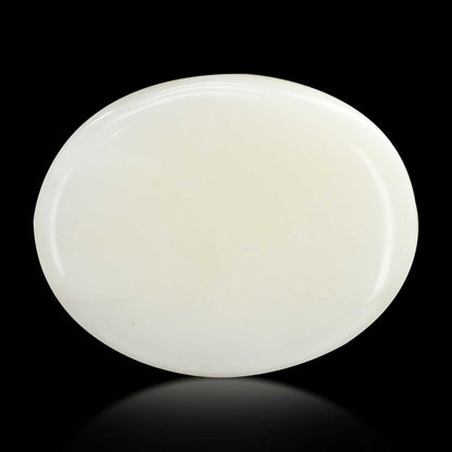 Japani White Coral 15.67 Carat