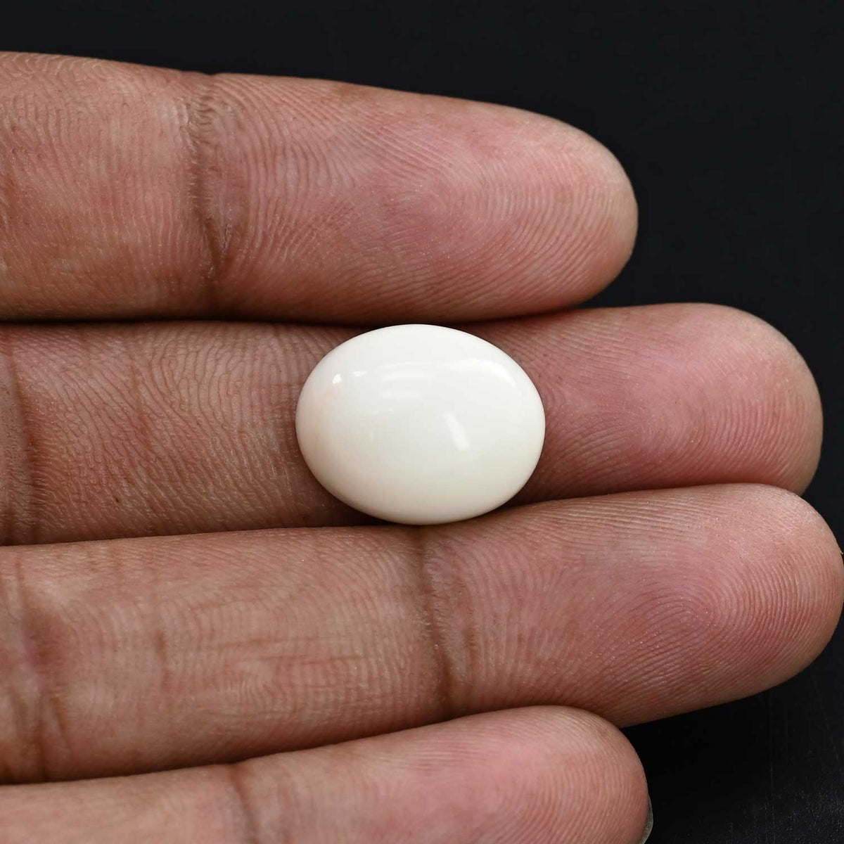 Japani White Coral 15.67 Carat