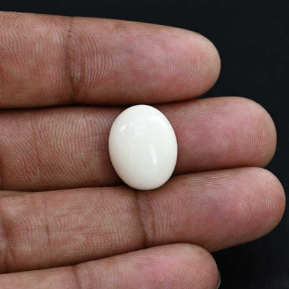 Japani White Coral 15.67 Carat