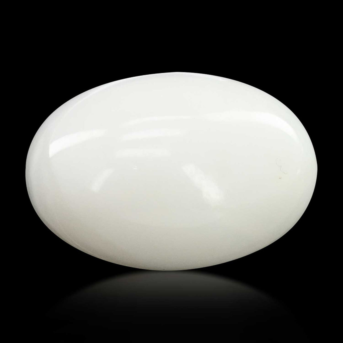Japani White Coral 15.79 Carat