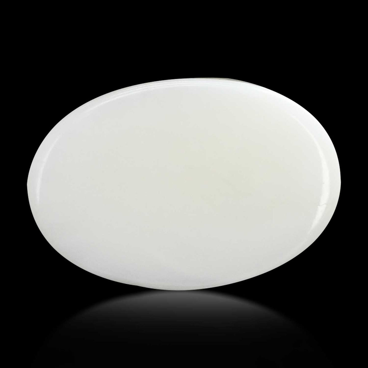 Japani White Coral 15.79 Carat