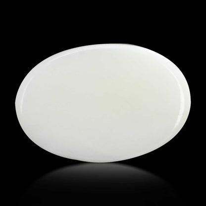 Japani White Coral 15.79 Carat