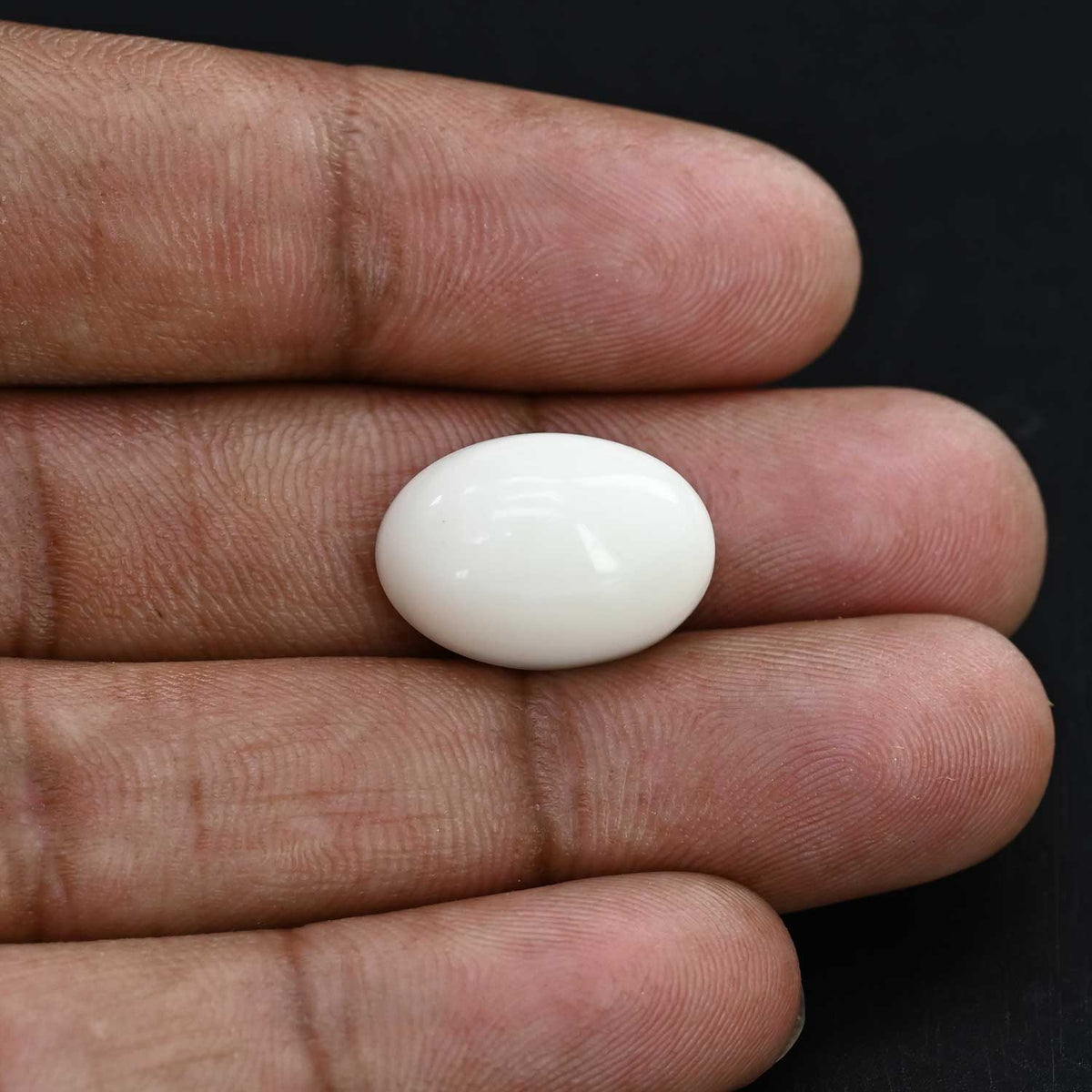 Japani White Coral 15.79 Carat