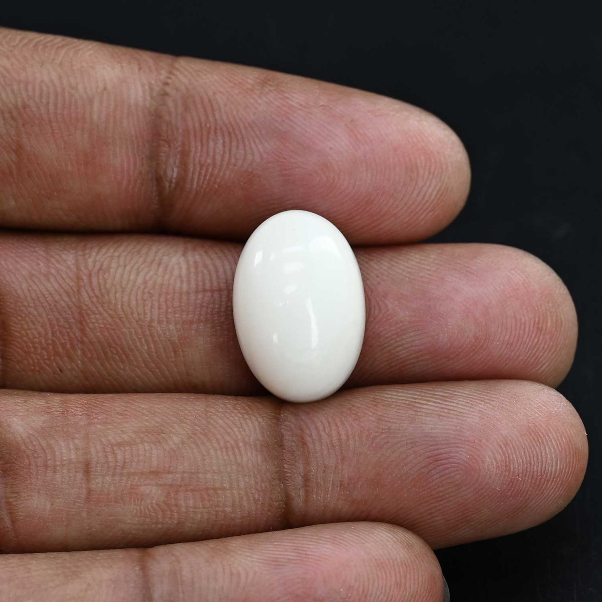 Japani White Coral 15.79 Carat