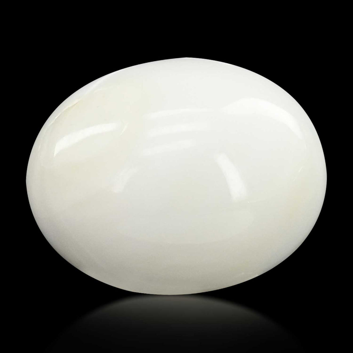 Japani White Coral 10.98 Carat