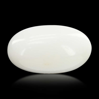 Japani White Coral 8.49 Carat