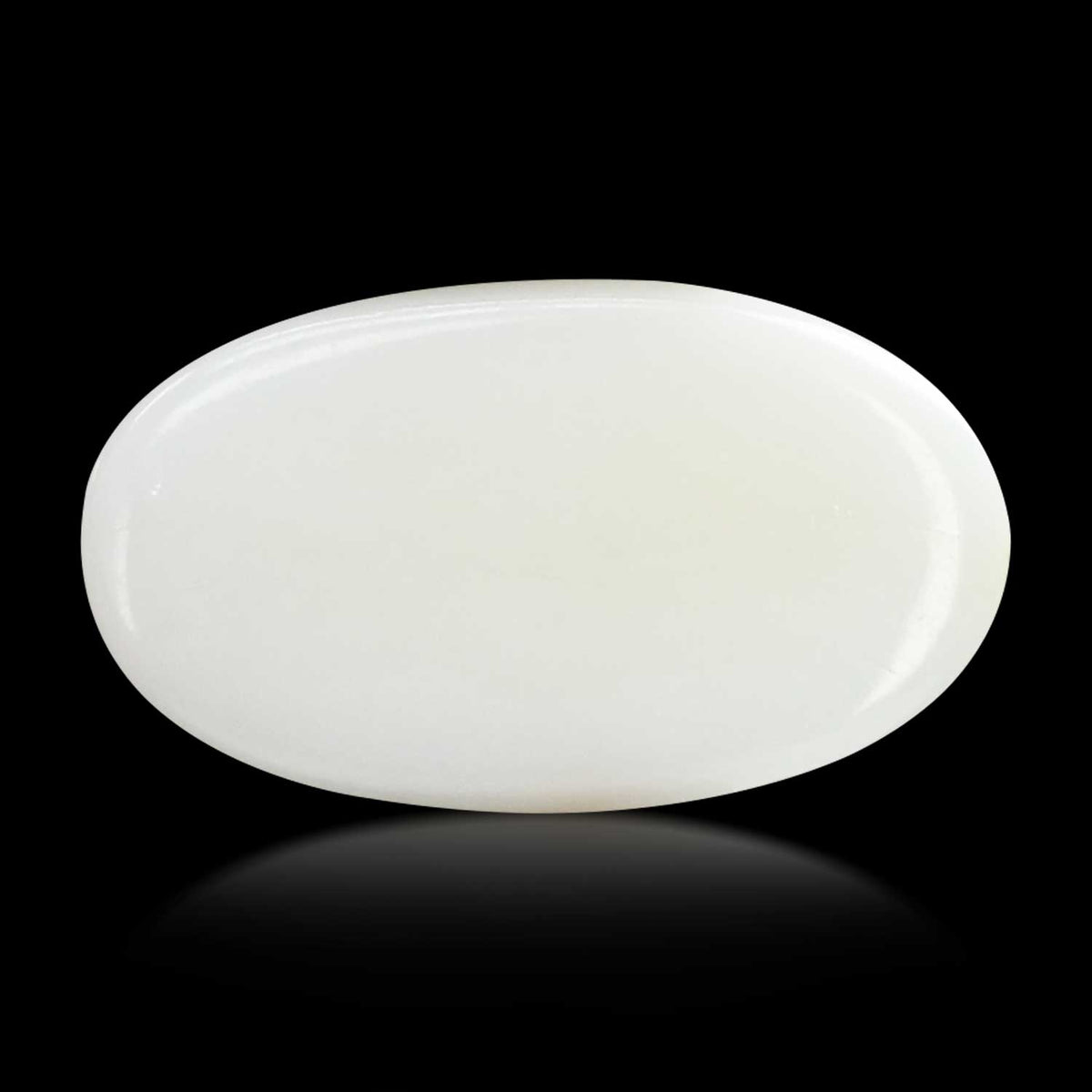 Japani White Coral 8.49 Carat