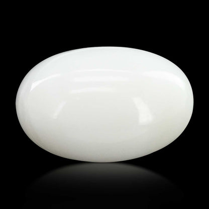 Japani White Coral 12.67 Carat