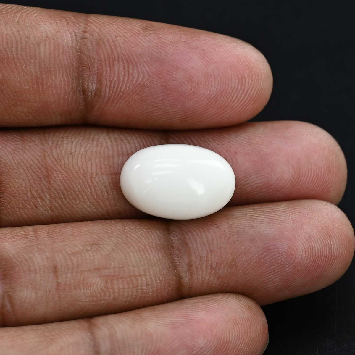 Japani White Coral 12.67 Carat