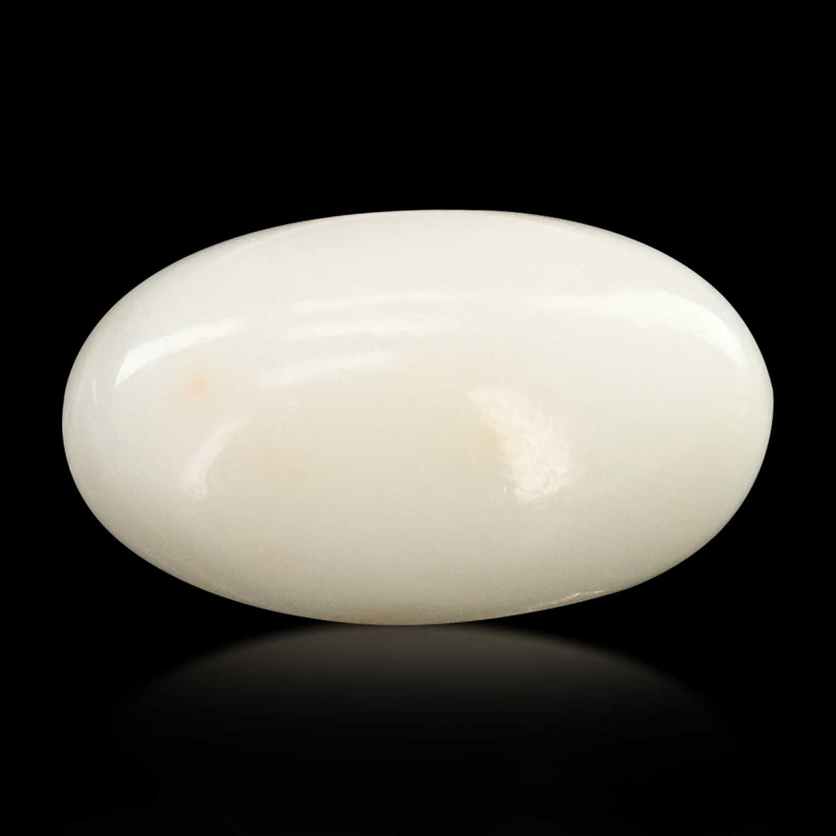 Japani White Coral 10.03 Carat