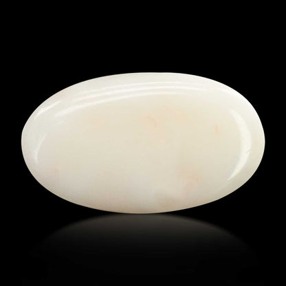 Japani White Coral 10.03 Carat