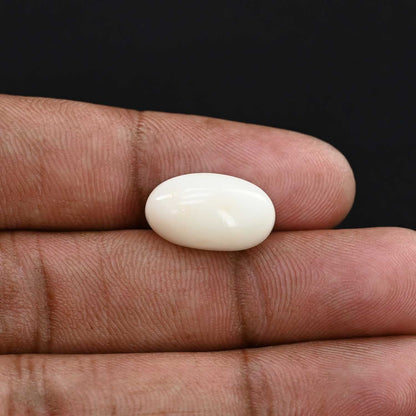 Japani White Coral 10.03 Carat
