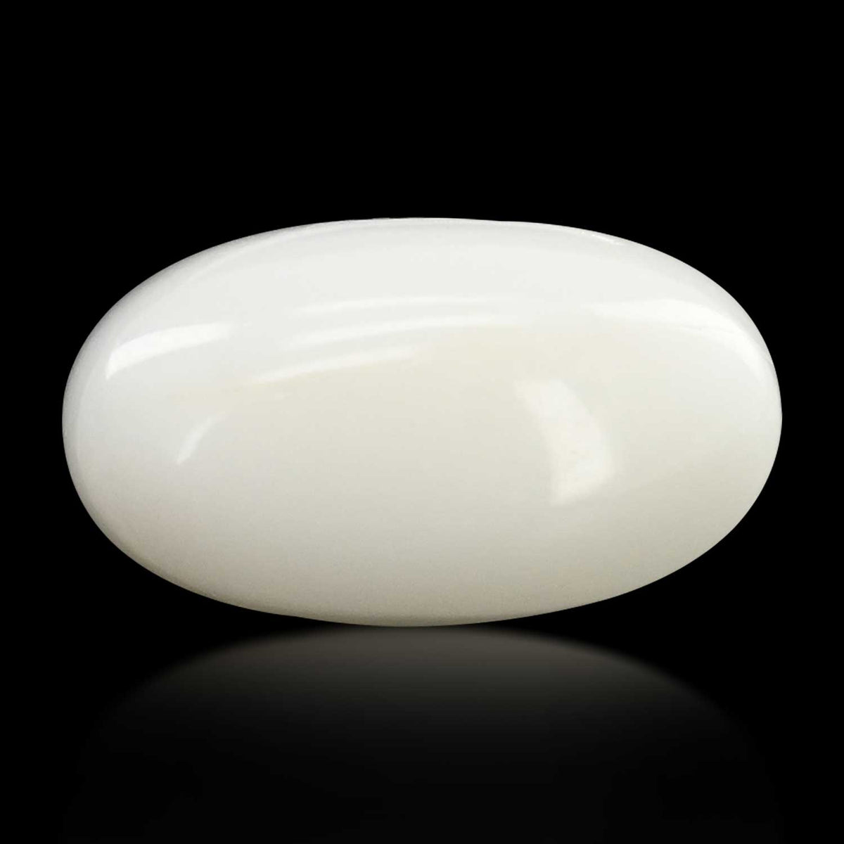 Japani White Coral 13.08 Carat