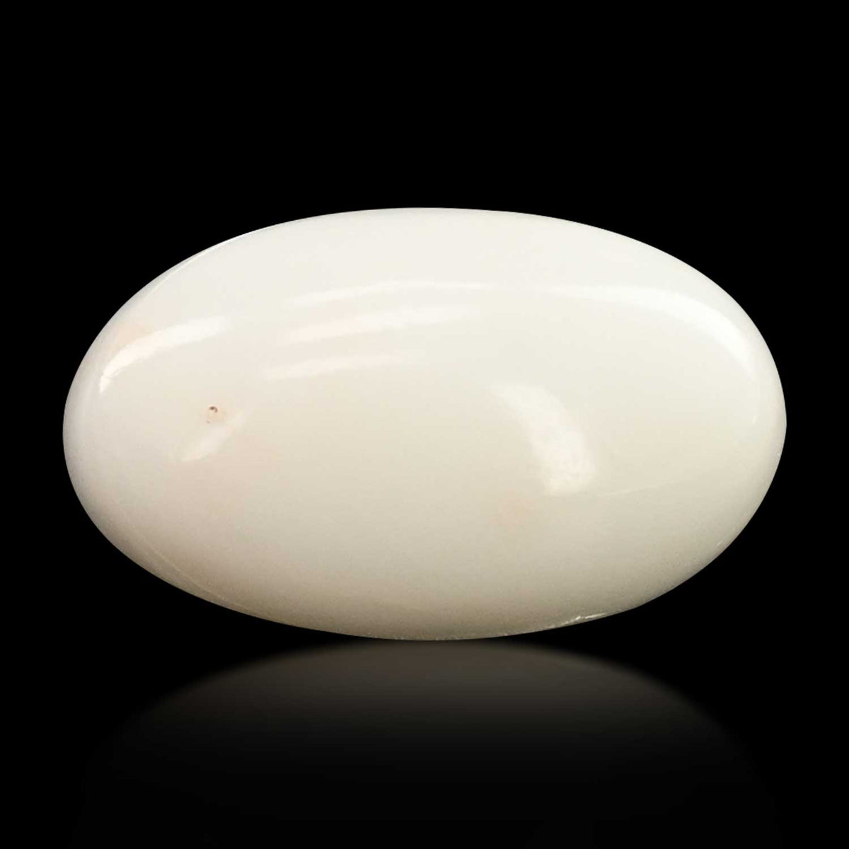 Japani White Coral 10.32 Carat