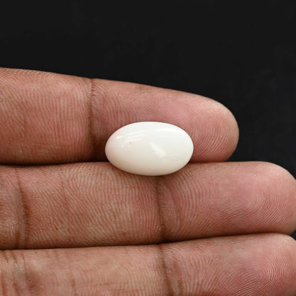 Japani White Coral 10.32 Carat