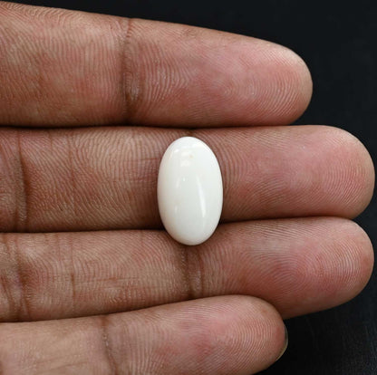 Japani White Coral 10.32 Carat