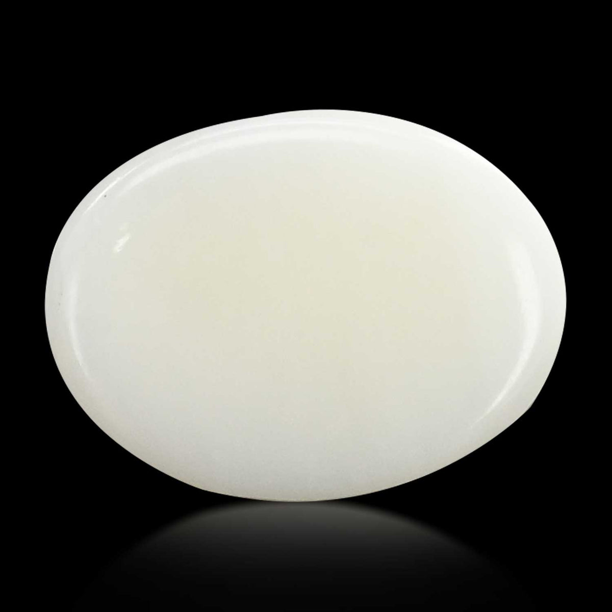 Japani White Coral 10.01 Carat