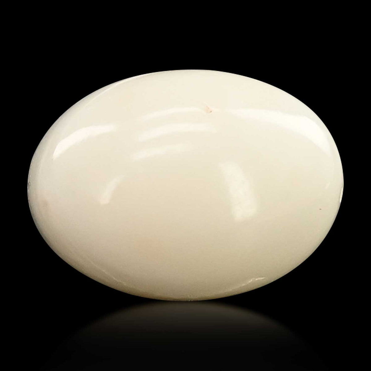 Japani White Coral 9.38 Carat