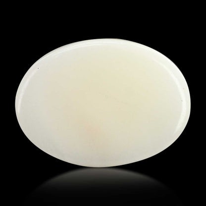 Japani White Coral 9.38 Carat