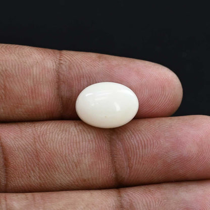 Japani White Coral 9.38 Carat