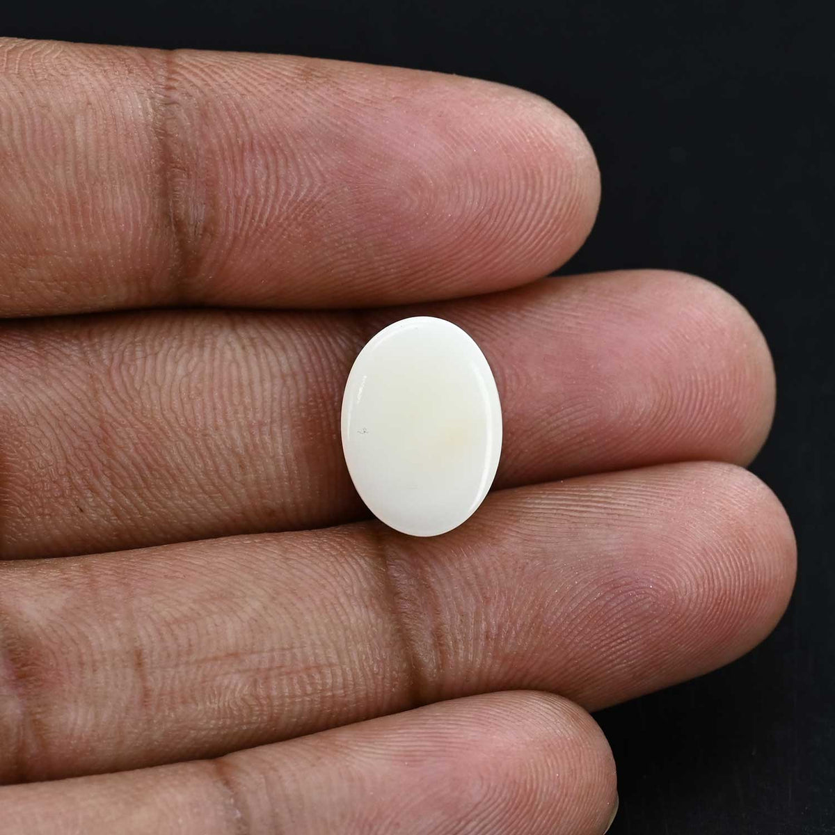 Japani White Coral 9.38 Carat