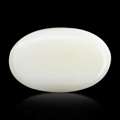 Japani White Coral 9.89 Carat