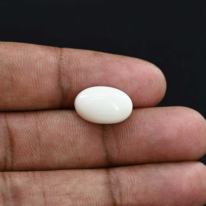 Japani White Coral 9.89 Carat