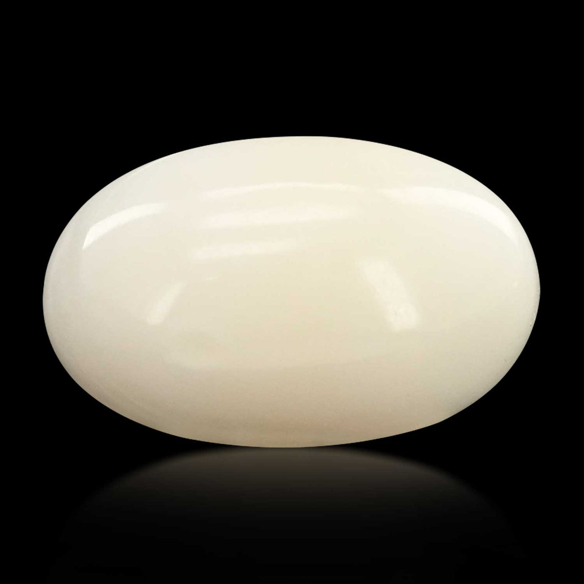 Japani White Coral 9.5 Carat
