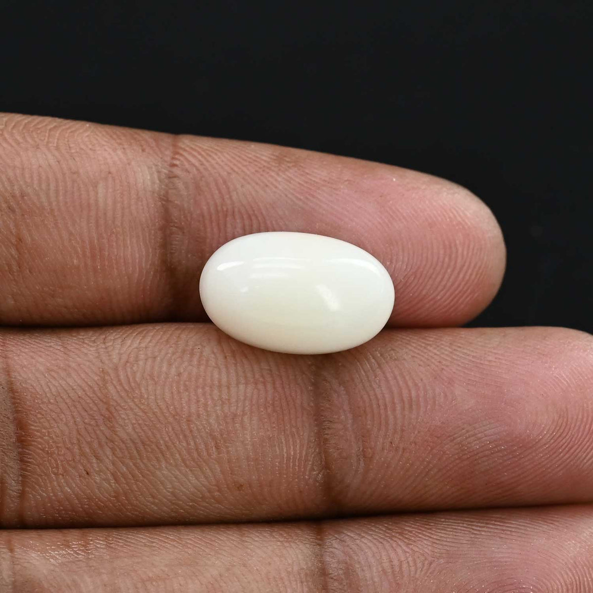 Japani White Coral 9.5 Carat