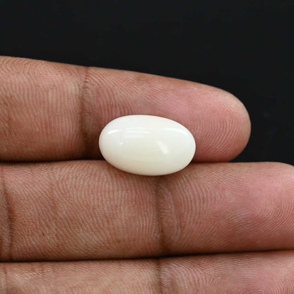 Japani White Coral 9.5 Carat