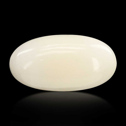 Japani White Coral 7.45 Carat