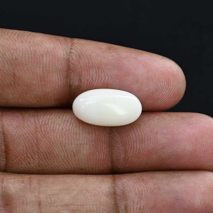 Japani White Coral 7.45 Carat