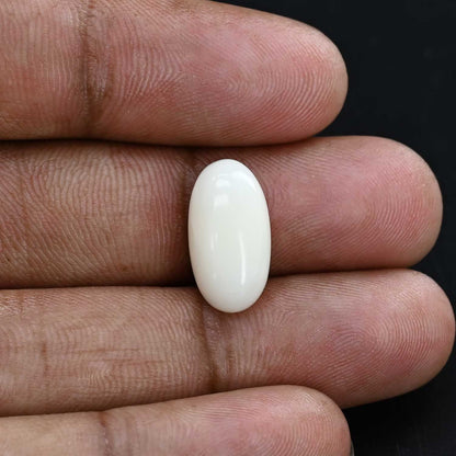 Japani White Coral 7.45 Carat