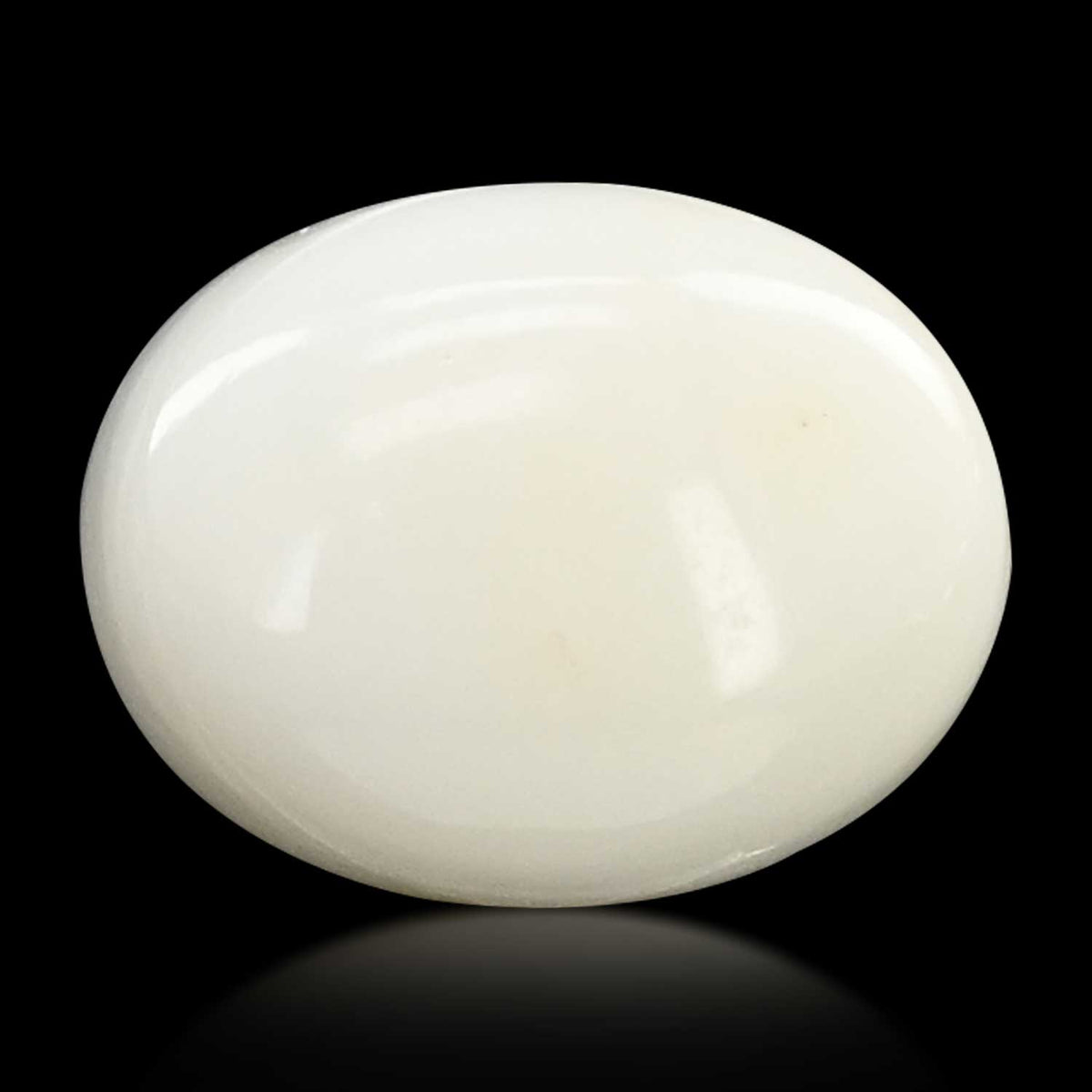 Japani White Coral 7.77 Carat