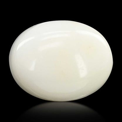 Japani White Coral 7.77 Carat