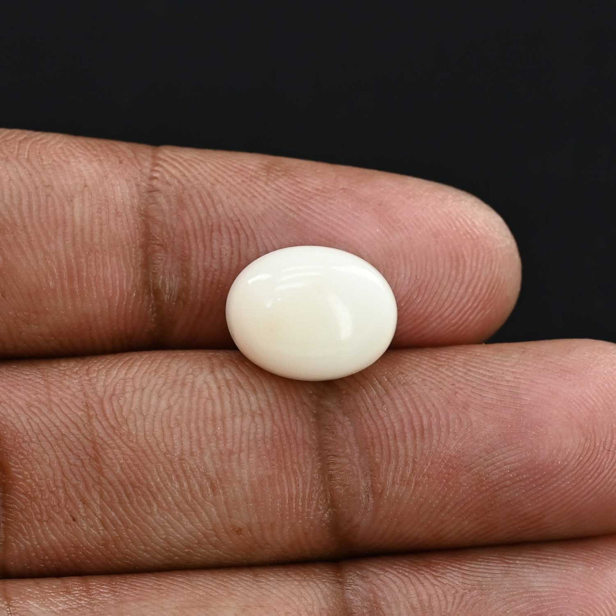 Japani White Coral 7.77 Carat