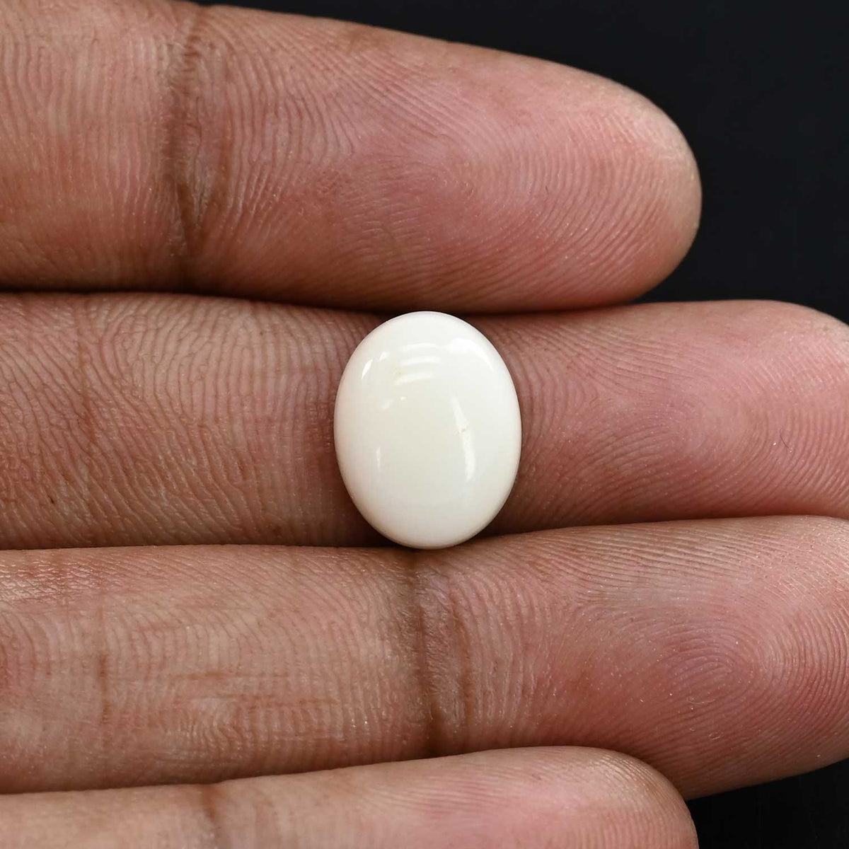 Japani White Coral 7.77 Carat