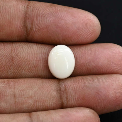 Japani White Coral 7.77 Carat