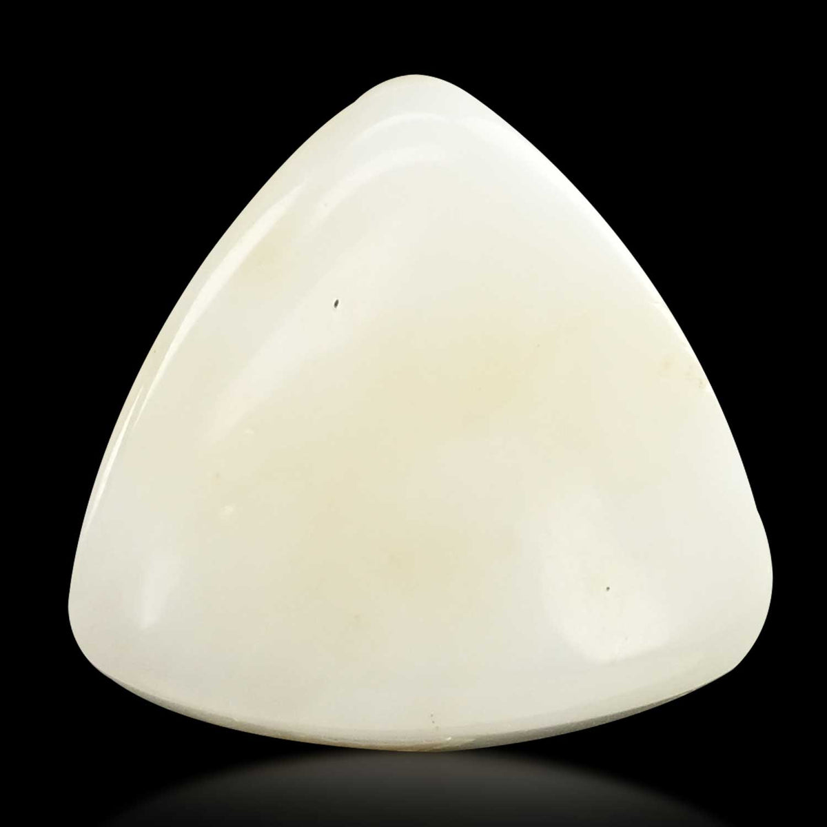Japani White Coral 29.21 Carat